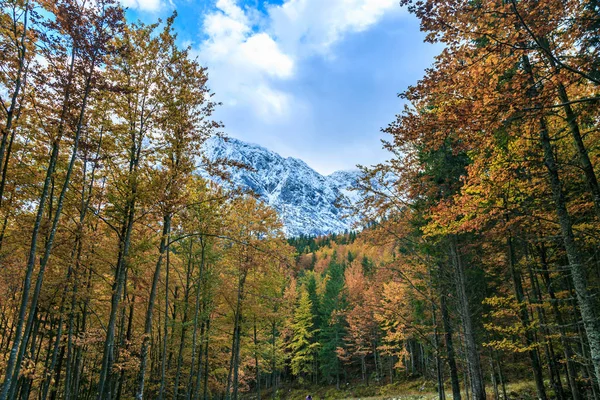 Herfst sunrinse in de vallei — Stockfoto