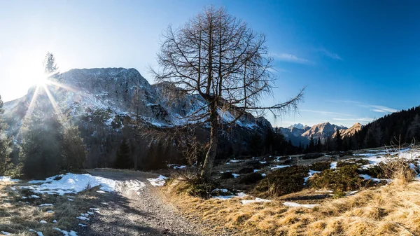 イタリアのアルプスの冬の日 — ストック写真