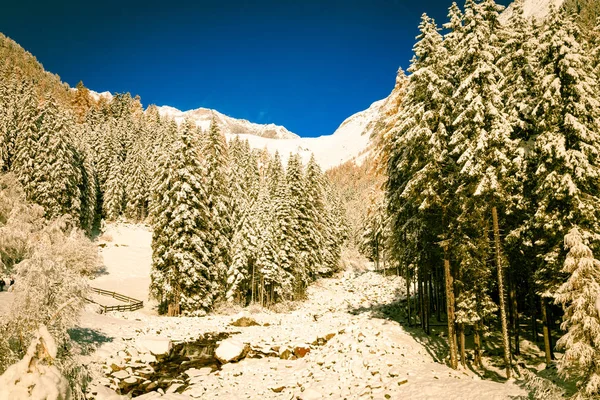 Sonniger Tag in den Alpen nach dem Schneefall — Stockfoto