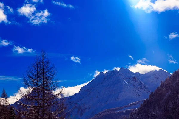 Dia ensolarado nos alpes após a queda de neve — Fotografia de Stock