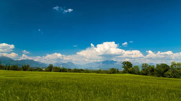Поля Италии в весенний день — стоковое фото