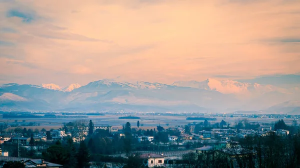 Snowy morning in the vineyard — Stock Photo, Image