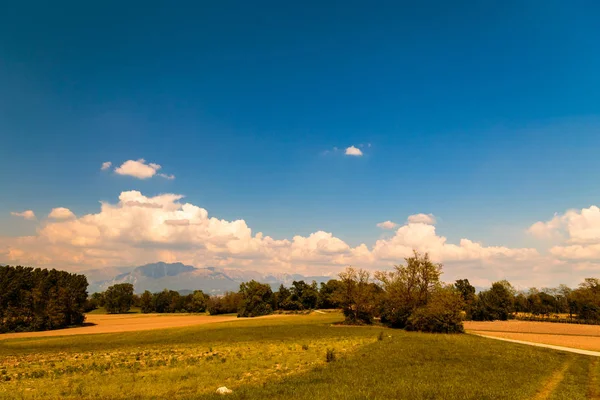 Felder Italiens an einem Frühlingstag — Stockfoto