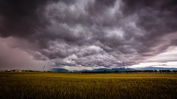 Sturm über den Feldern — Stockfoto