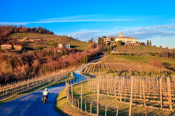 Tramonto nei vigneti di Rosazzo — Foto Stock