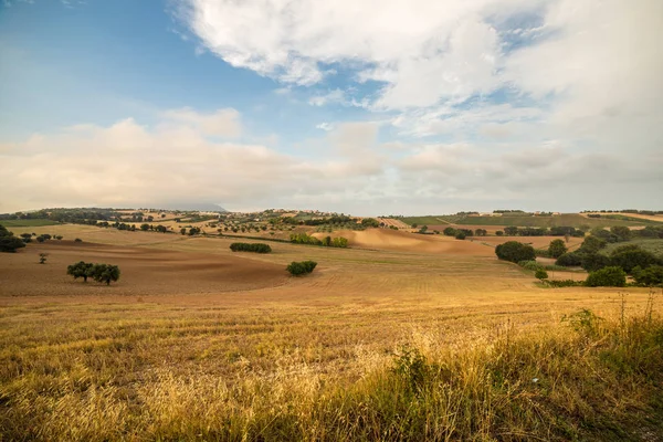 Puesta de sol en el campo italiano — Foto de Stock