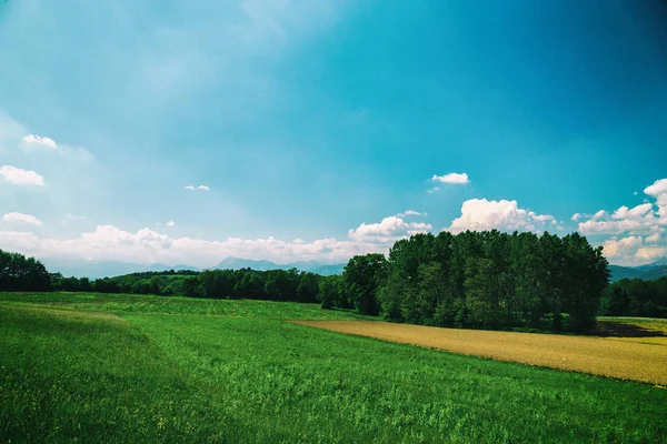 Fields of Italy in a spring day — Stock Photo, Image