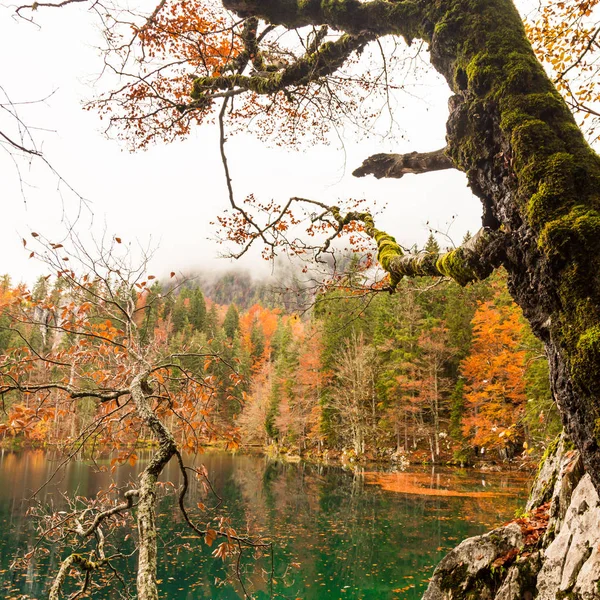 Mañana de otoño en los Alpes — Foto de Stock