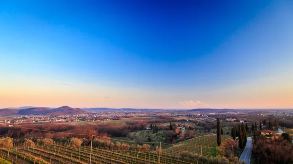 Sunset in the vineyards of Rosazzo — Stock Photo, Image