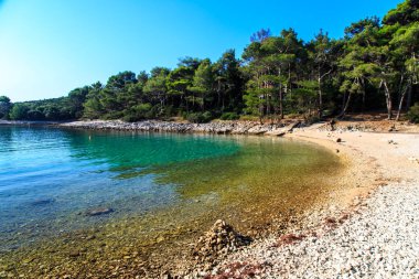 ayında Hırvatistan bir koyda yelkenli