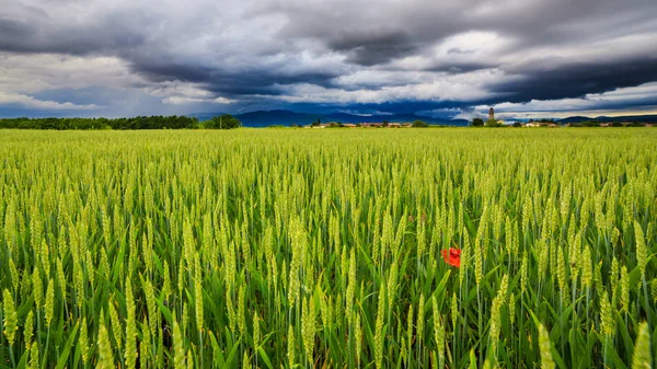 Kvällen storm över den medeltida byn — Stockfoto