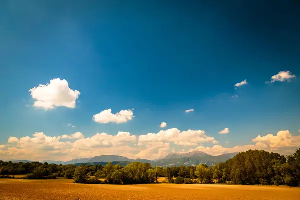 Campos de Italia en un día de primavera — Foto de Stock