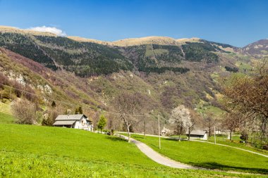 Bahar vadide geliyor