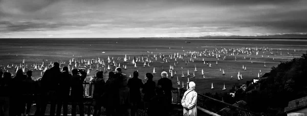 Trieste Barcolana Regatta — Stok fotoğraf