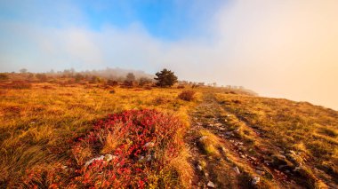 Val Rosandra sisli sonbahar akşam