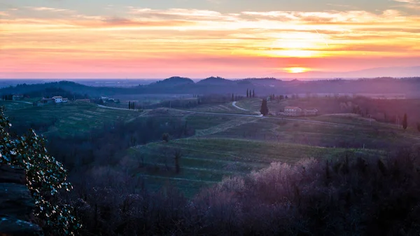 Pôr do sol nas vinhas de Rosazzo — Fotografia de Stock