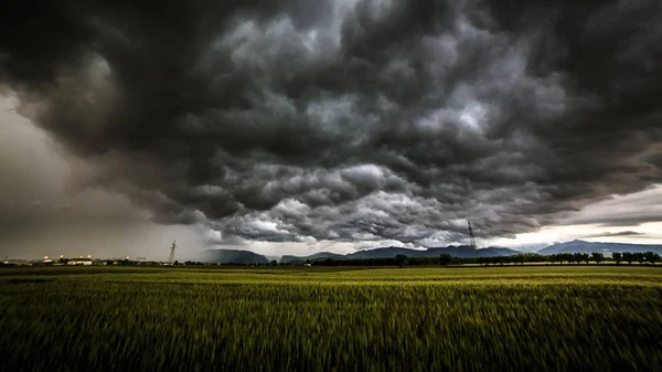 Storm over de velden — Stockfoto