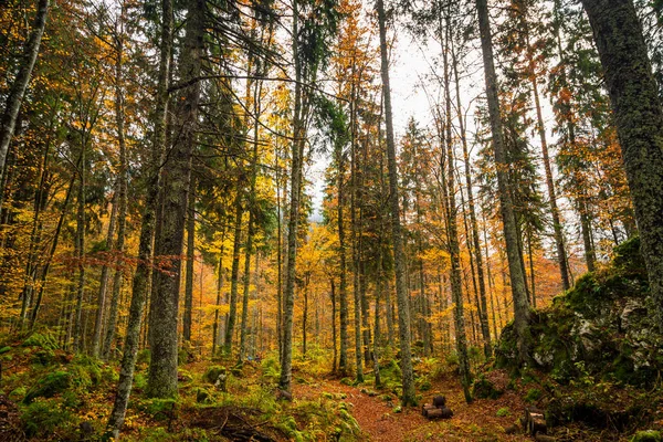 Mañana de otoño en los Alpes — Foto de Stock