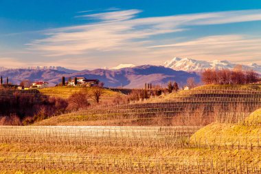 Rosazzo üzüm bağları gün batımı