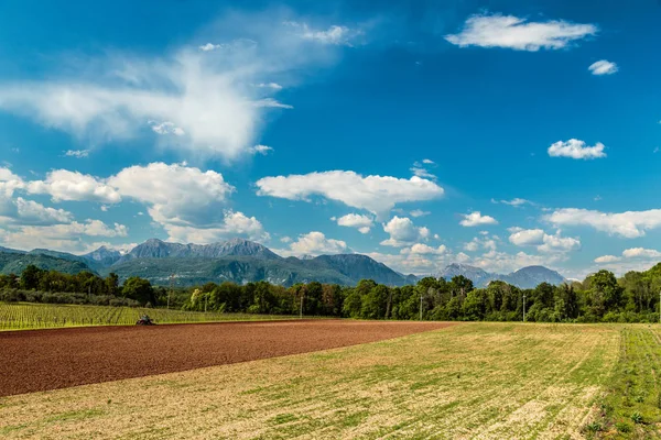 Fields of Italy in a spring day — Stock Photo, Image