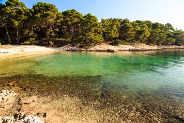 ayında Hırvatistan bir koyda yelkenli