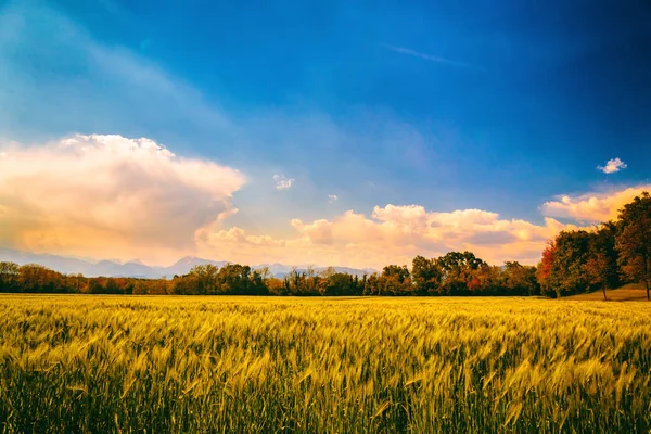 Campos da Itália em um dia de primavera — Fotografia de Stock