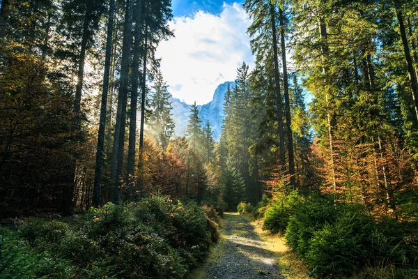 Trekking pad in een herfstdag in de Alpen — Stockfoto