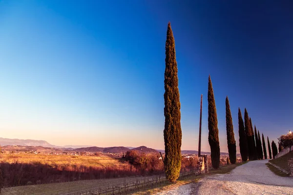 Tramonto nei vigneti di Rosazzo — Foto Stock