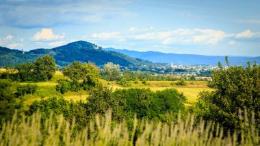 Rosazzo üzüm bağları gün batımı