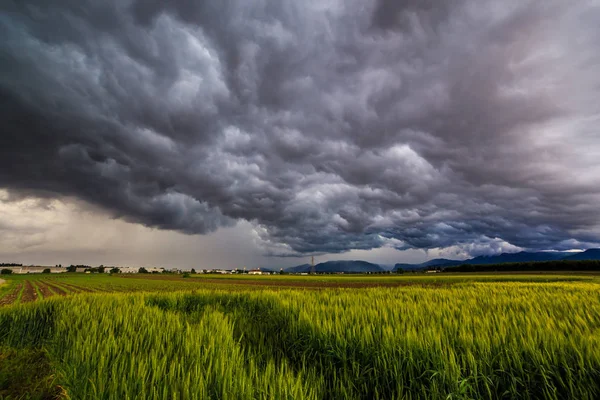 Sturm über den Feldern — Stockfoto