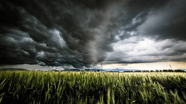 Sturm über den Feldern — Stockfoto