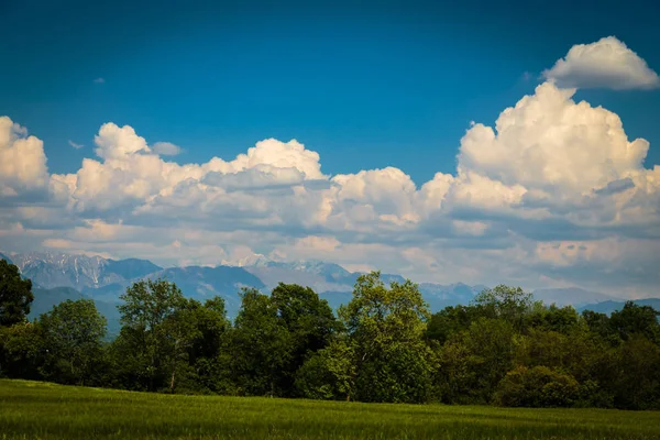 Fields of Italy in a spring day — Stock Photo, Image