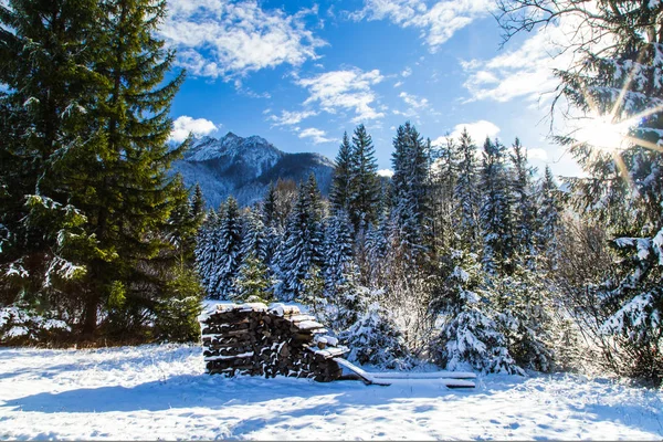 Primeira neve na montanha — Fotografia de Stock