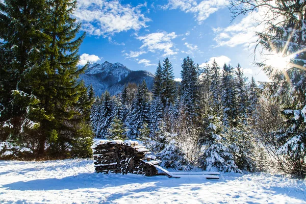 山で初雪 — ストック写真