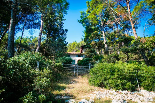 Antigua casa en el bosque de Croacia — Foto de Stock