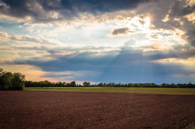 Alanları üzerinde bahar fırtına