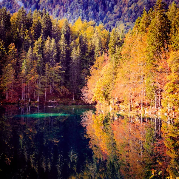 Podzimní ráno na alpské jezero — Stock fotografie