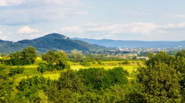 Rosazzo üzüm bağları gün batımı