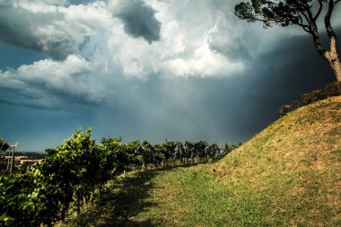 Bağ üzerinde fırtına