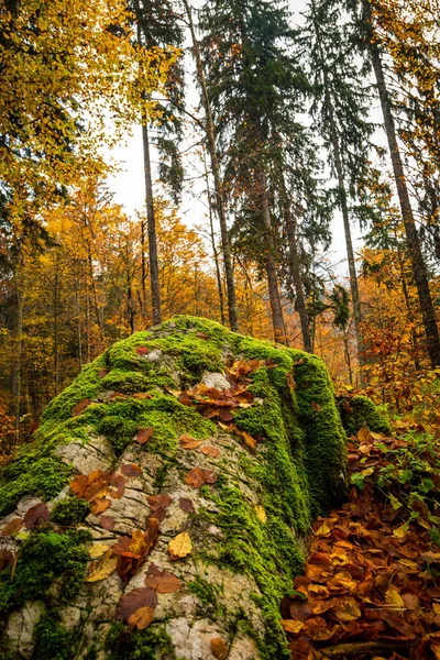 Mañana de otoño en los Alpes — Foto de Stock