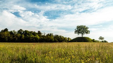 Yalnız bir ağacın arkasına güneşin battığı
