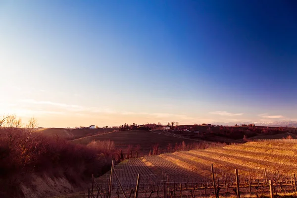 Zachód słońca w winnicach Rosazzo — Zdjęcie stockowe