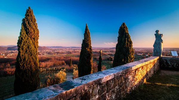 Sunset in the vineyards of Rosazzo — Stock Photo, Image