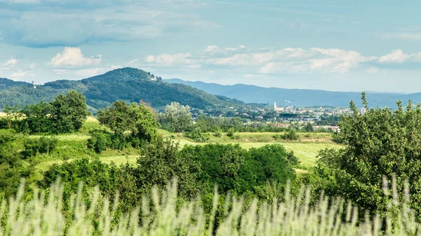 Rosazzo üzüm bağları gün batımı