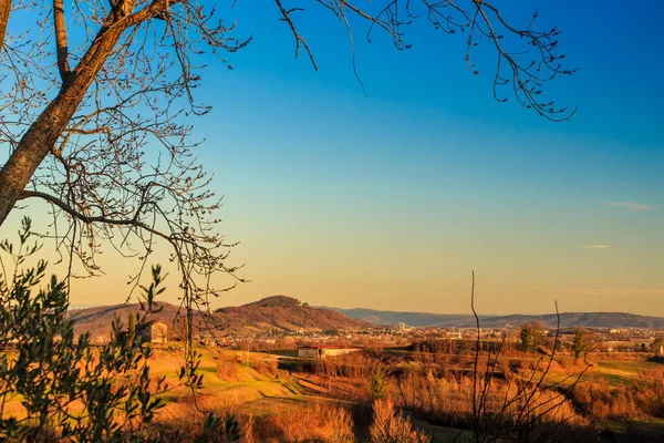 Zonsondergang in de wijngaarden van Rosazzo — Stockfoto