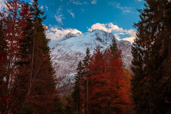 Serata autunnale sulle Alpi italiane — Foto Stock