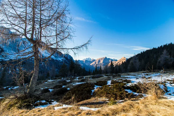 Dia de inverno nos alpes italianos — Fotografia de Stock