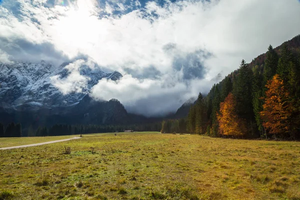 Осеннее утро в Альпах — стоковое фото