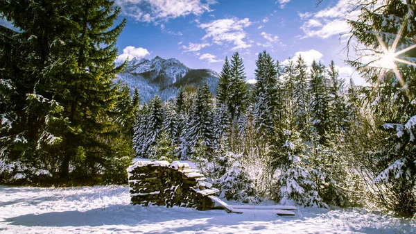 Prima neve in montagna — Foto Stock