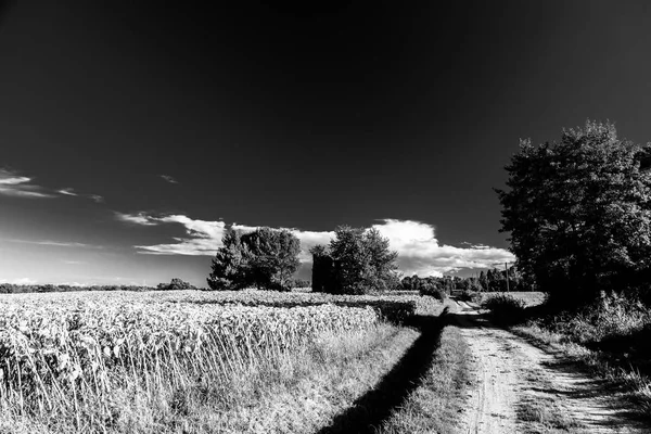 Yaz günü İtalyan kırsal kesimde